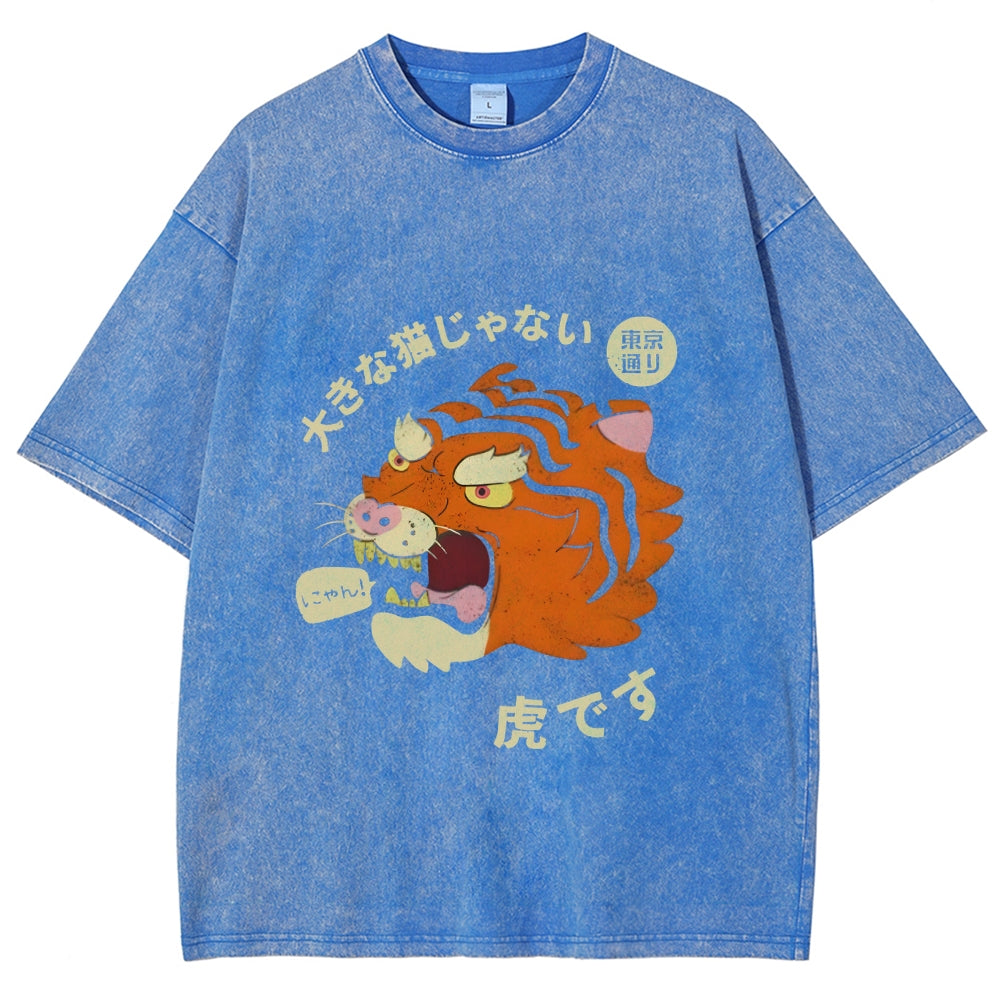 It's Not A Big Cat Washed Vintage T-Shirt