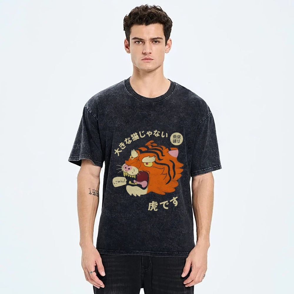 It's Not A Big Cat Washed Vintage T-Shirt