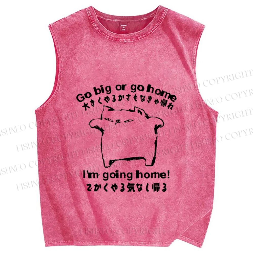 Unisex Silly Cat Go Big Or Go Home Printed Washed Tank Top