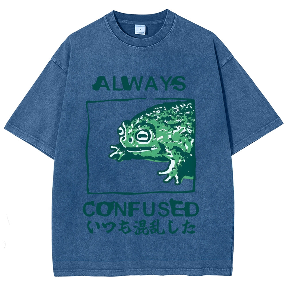 Always Confused Funny Frog Meme Vintage Washed T-shirt