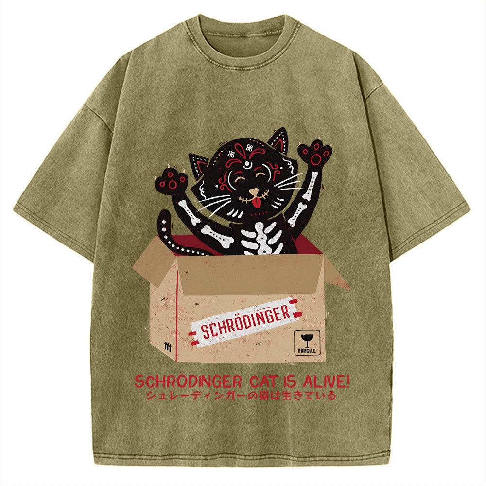 Schrödinger's cat is alive! Vintage Washed T-shirt