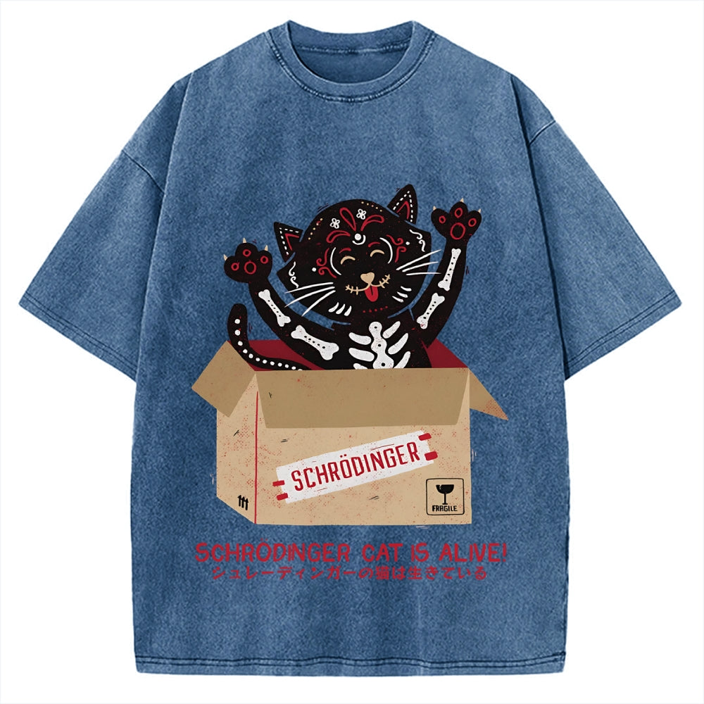 Schrödinger's cat is alive! Vintage Washed T-shirt