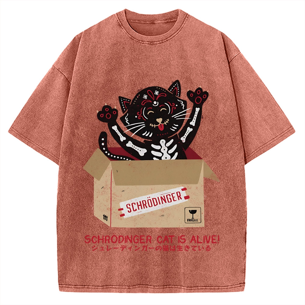 Schrödinger's cat is alive! Vintage Washed T-shirt