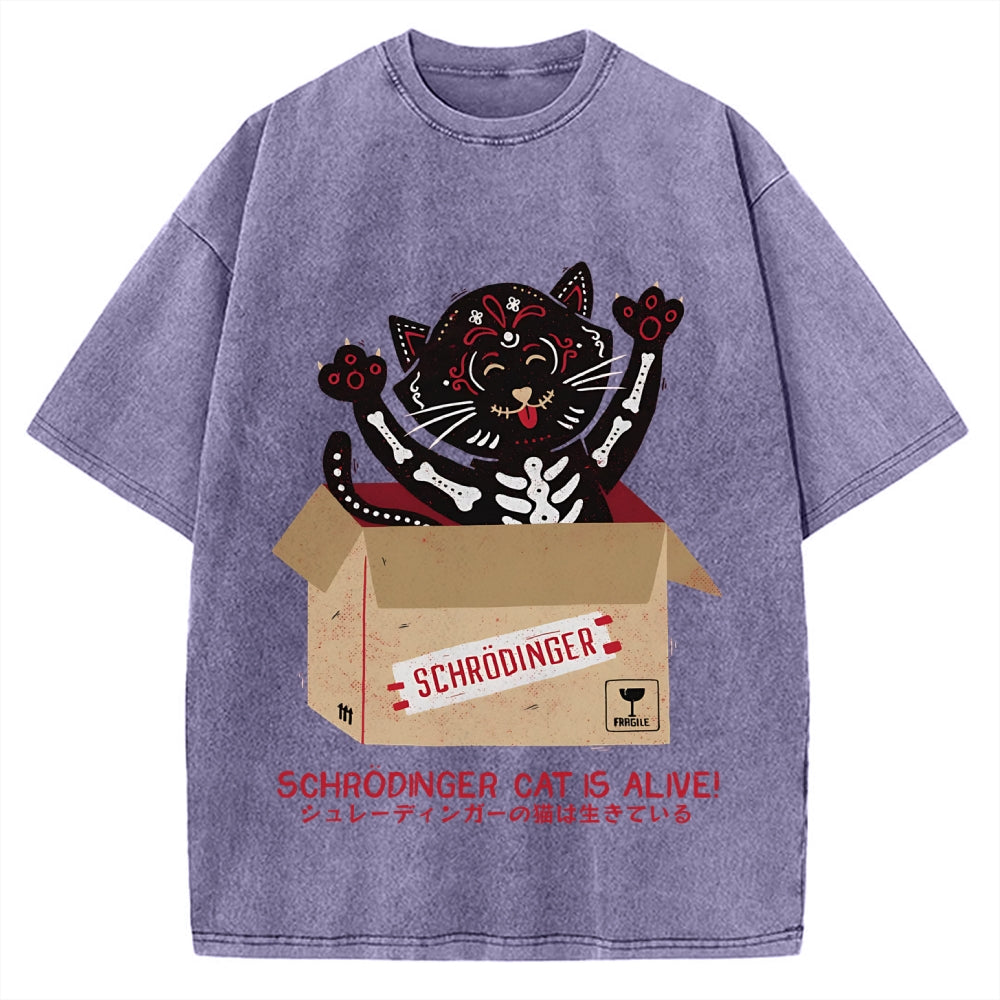Schrödinger's cat is alive! Vintage Washed T-shirt