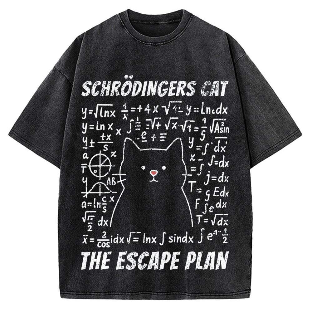 Funny Schrödinger's Cat Escape Math Meme Vintage Washed T-shirt