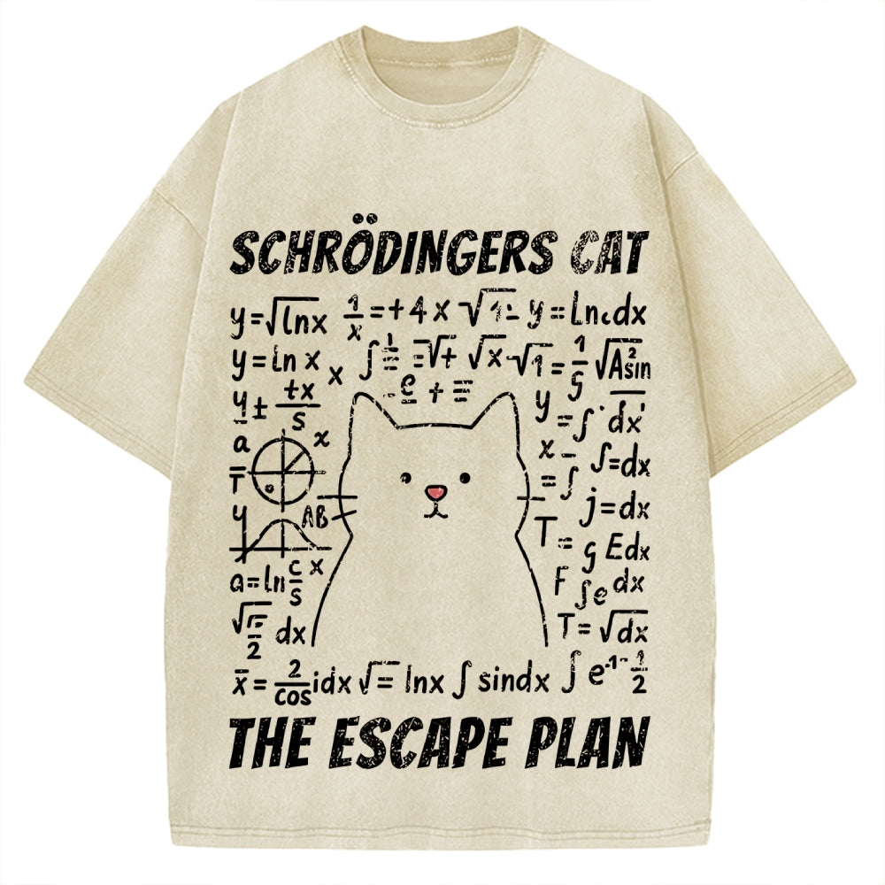 Funny Schrödinger's Cat Escape Math Meme Vintage Washed T-shirt