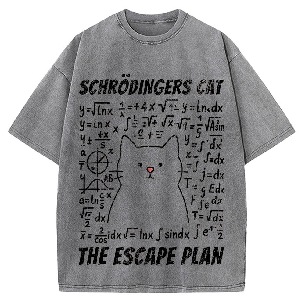 Funny Schrödinger's Cat Escape Math Meme Vintage Washed T-shirt