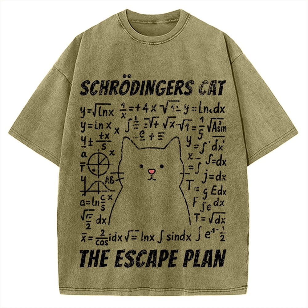 Funny Schrödinger's Cat Escape Math Meme Vintage Washed T-shirt