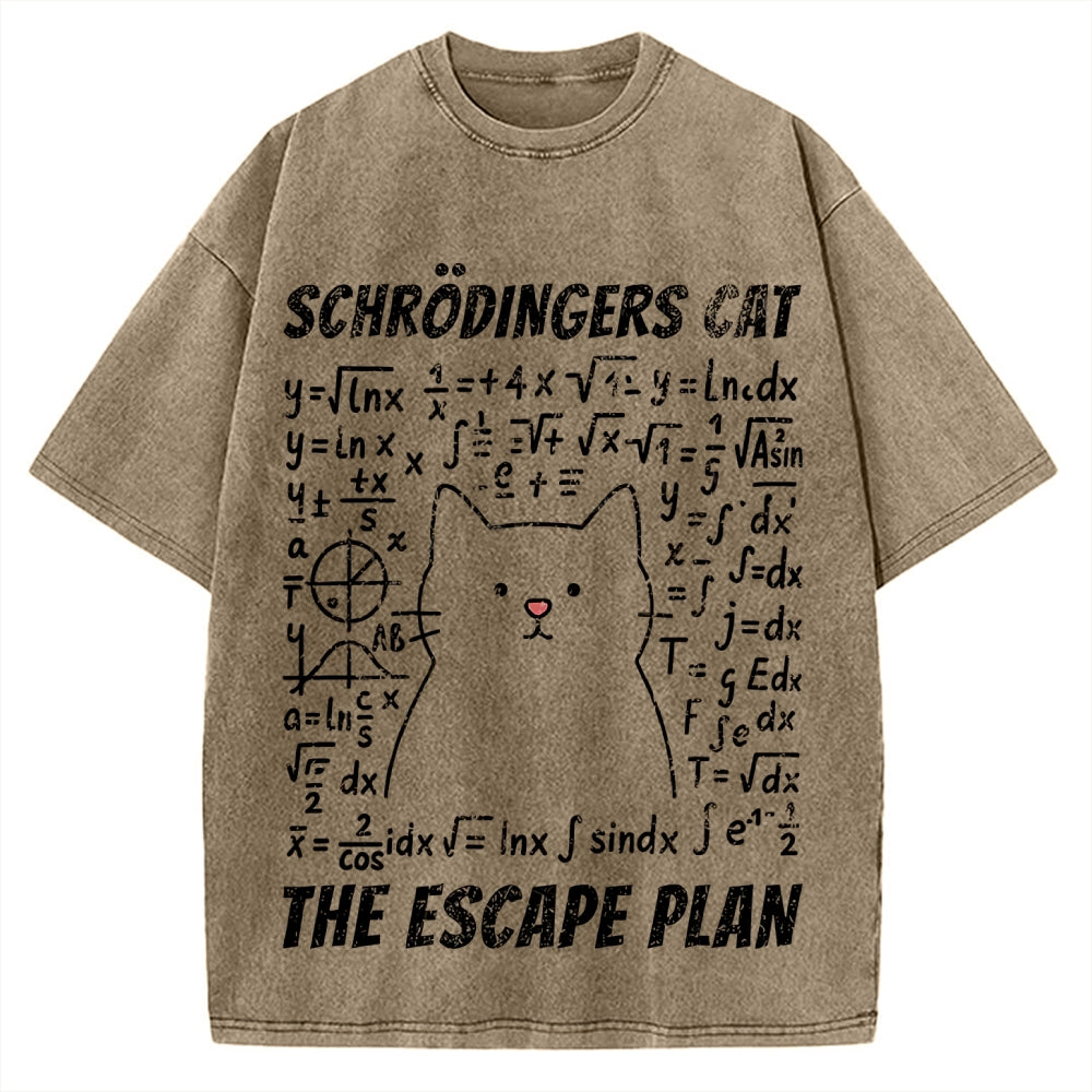 Funny Schrödinger's Cat Escape Math Meme Vintage Washed T-shirt