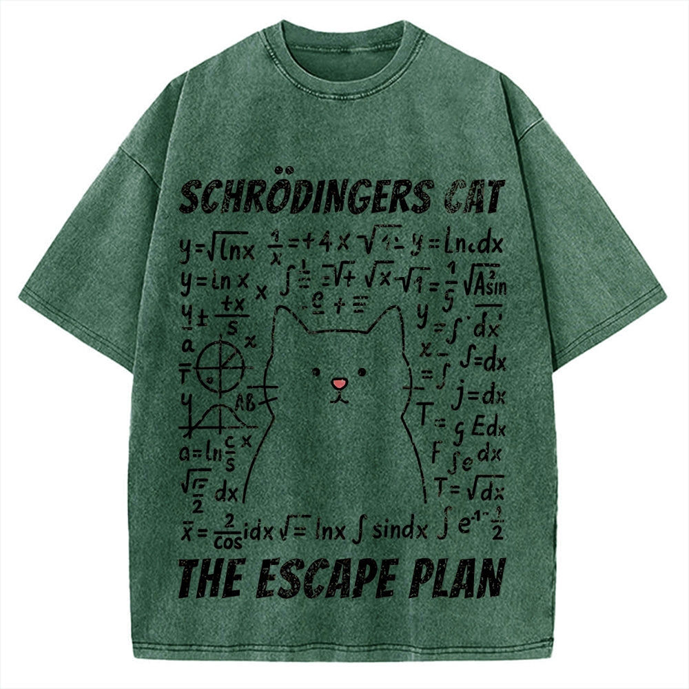 Funny Schrödinger's Cat Escape Math Meme Vintage Washed T-shirt