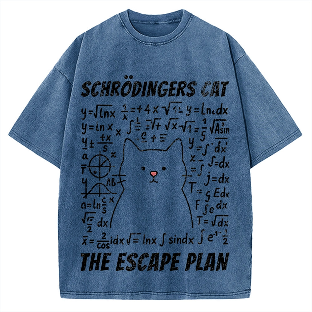 Funny Schrödinger's Cat Escape Math Meme Vintage Washed T-shirt