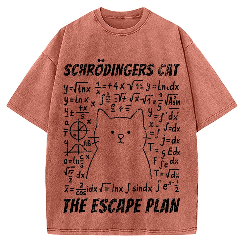 Funny Schrödinger's Cat Escape Math Meme Vintage Washed T-shirt