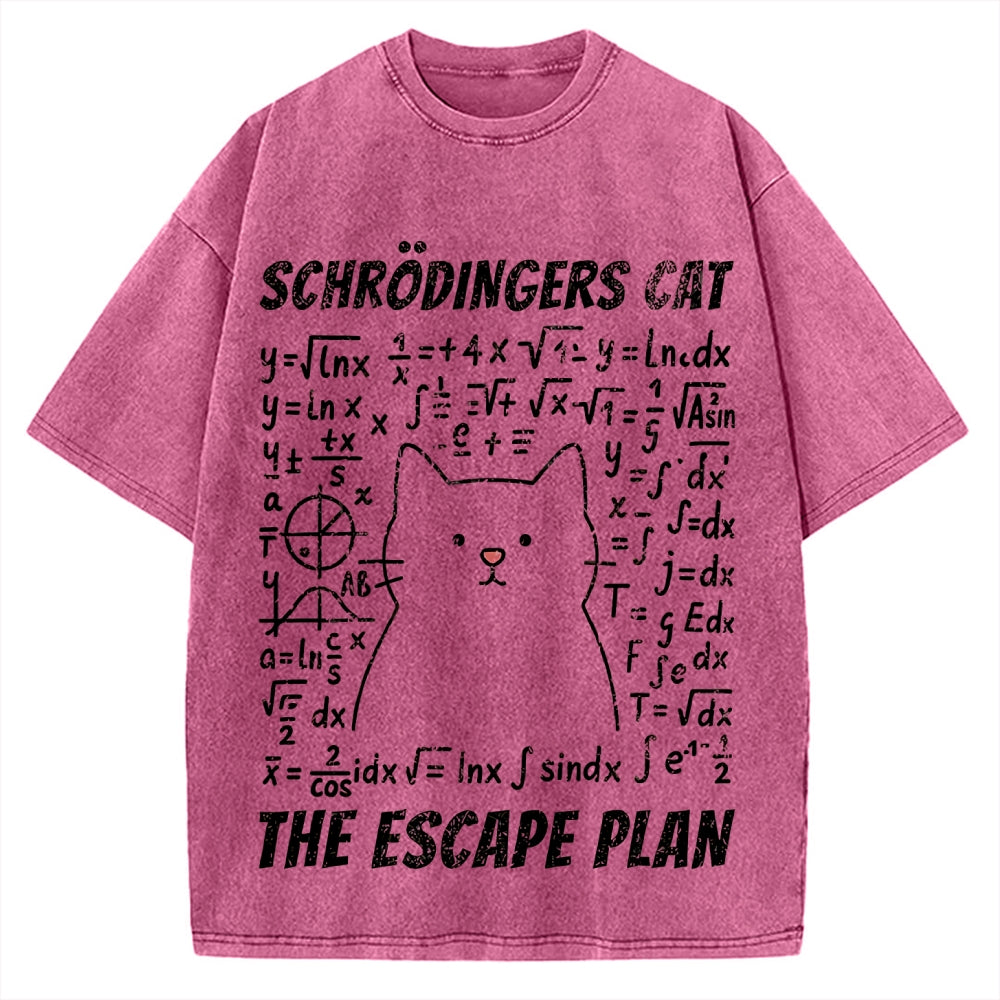 Funny Schrödinger's Cat Escape Math Meme Vintage Washed T-shirt