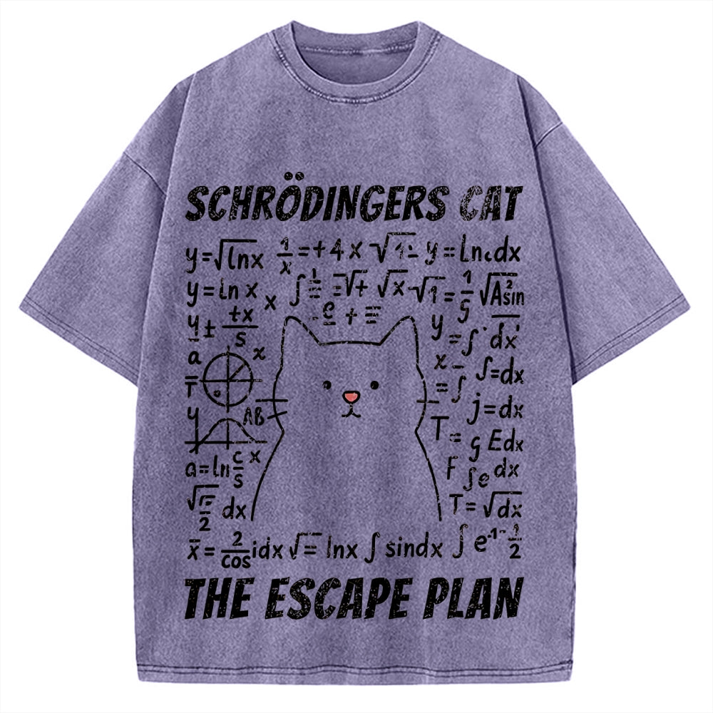Funny Schrödinger's Cat Escape Math Meme Vintage Washed T-shirt