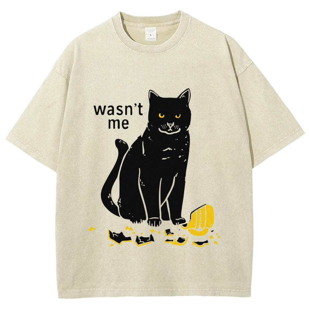 Wasn't Me Washed T-Shirt
