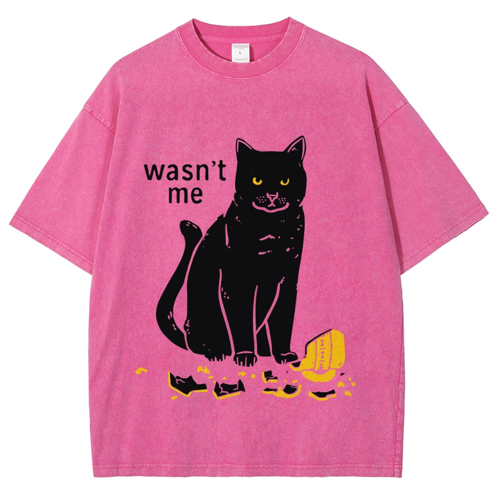 Wasn't Me Washed T-Shirt