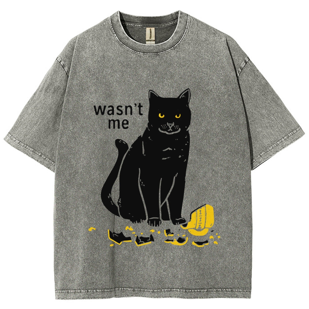Wasn't Me Washed T-Shirt