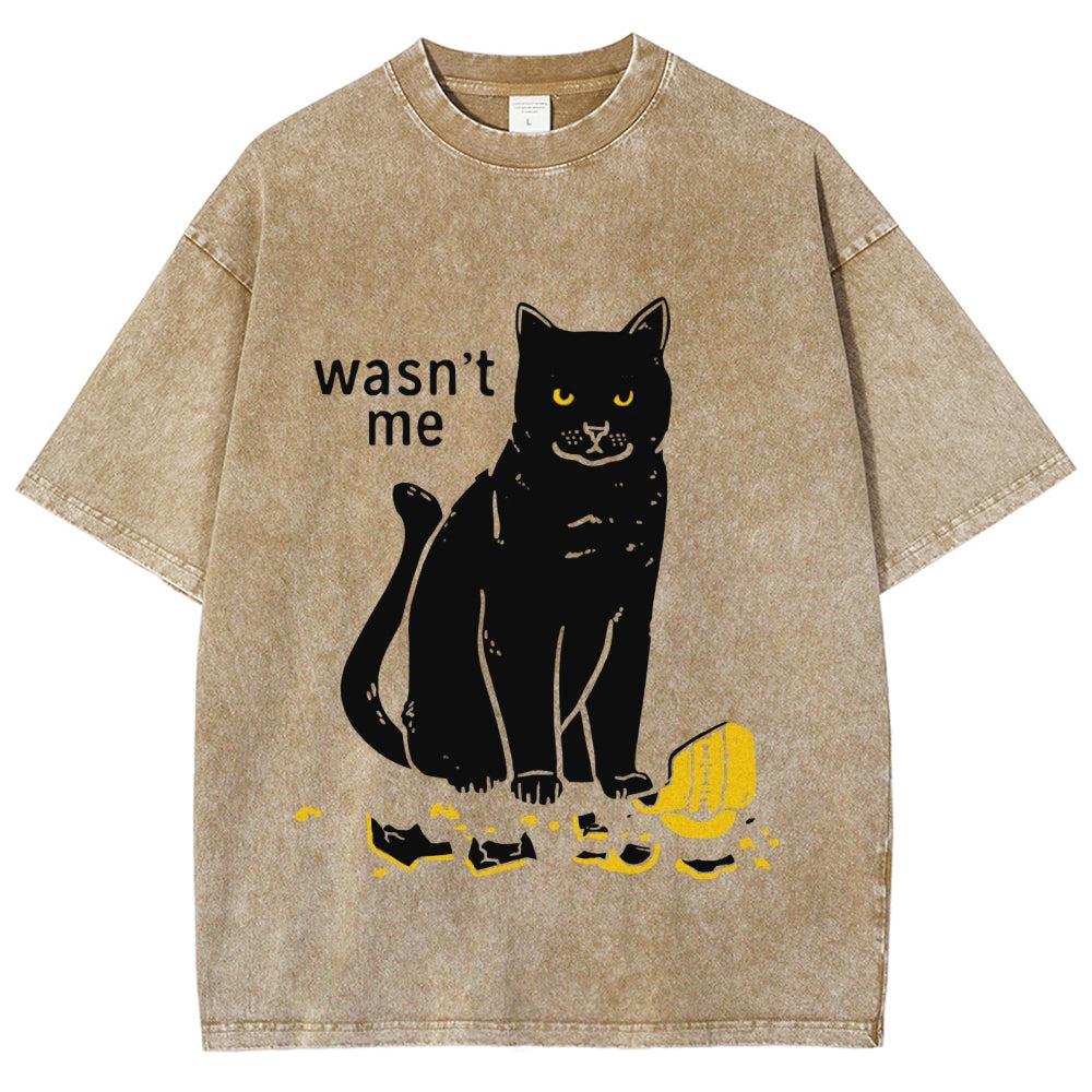 Wasn't Me Washed T-Shirt