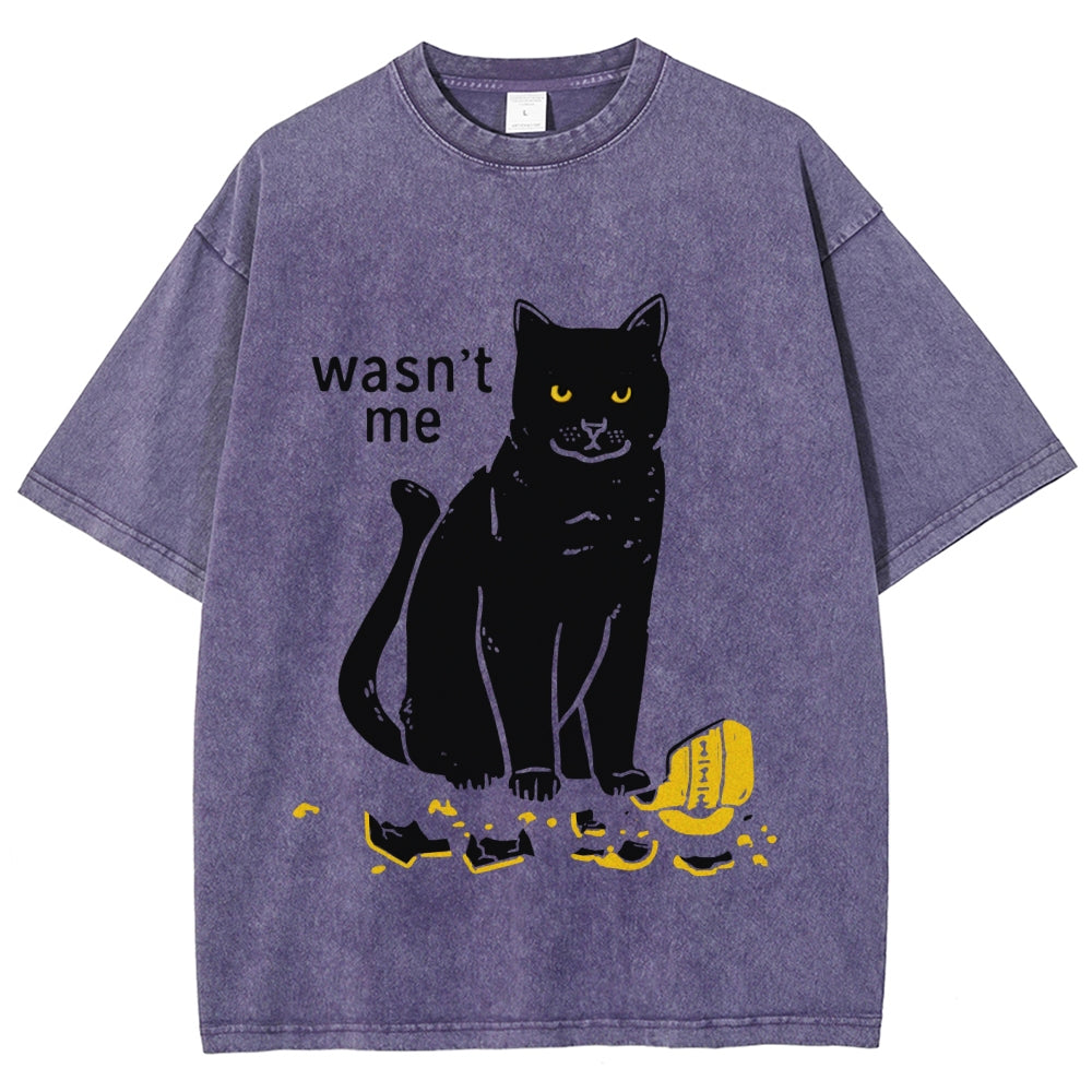 Wasn't Me Washed T-Shirt