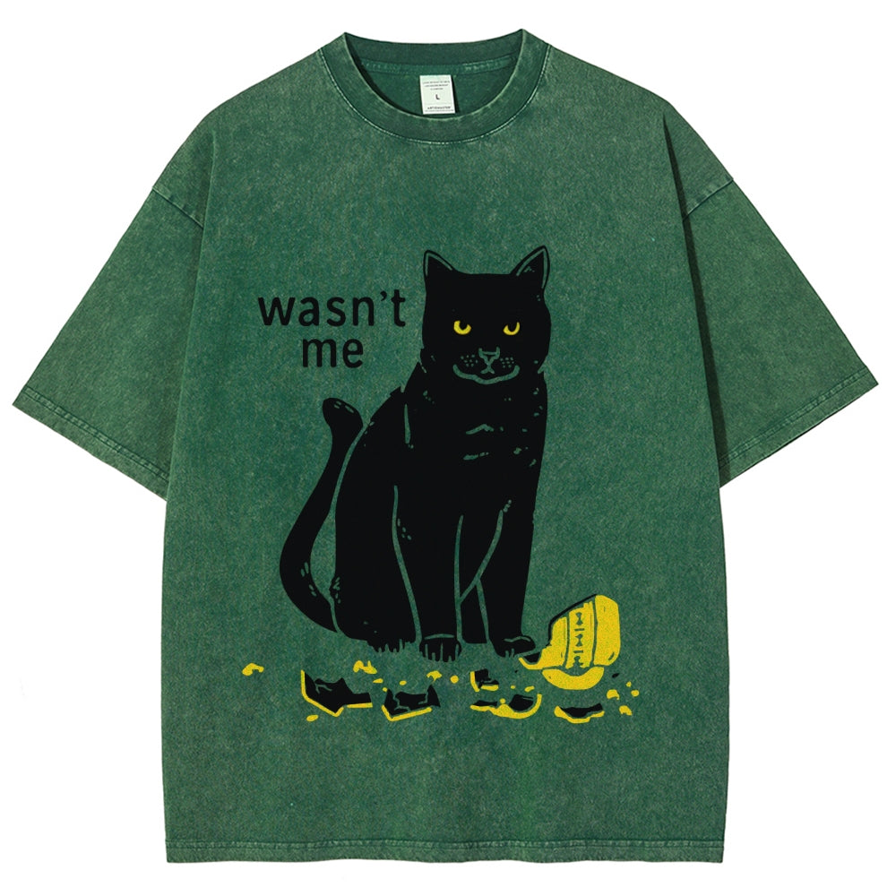 Wasn't Me Washed T-Shirt
