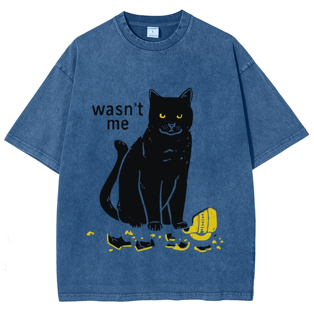 Wasn't Me Washed T-Shirt