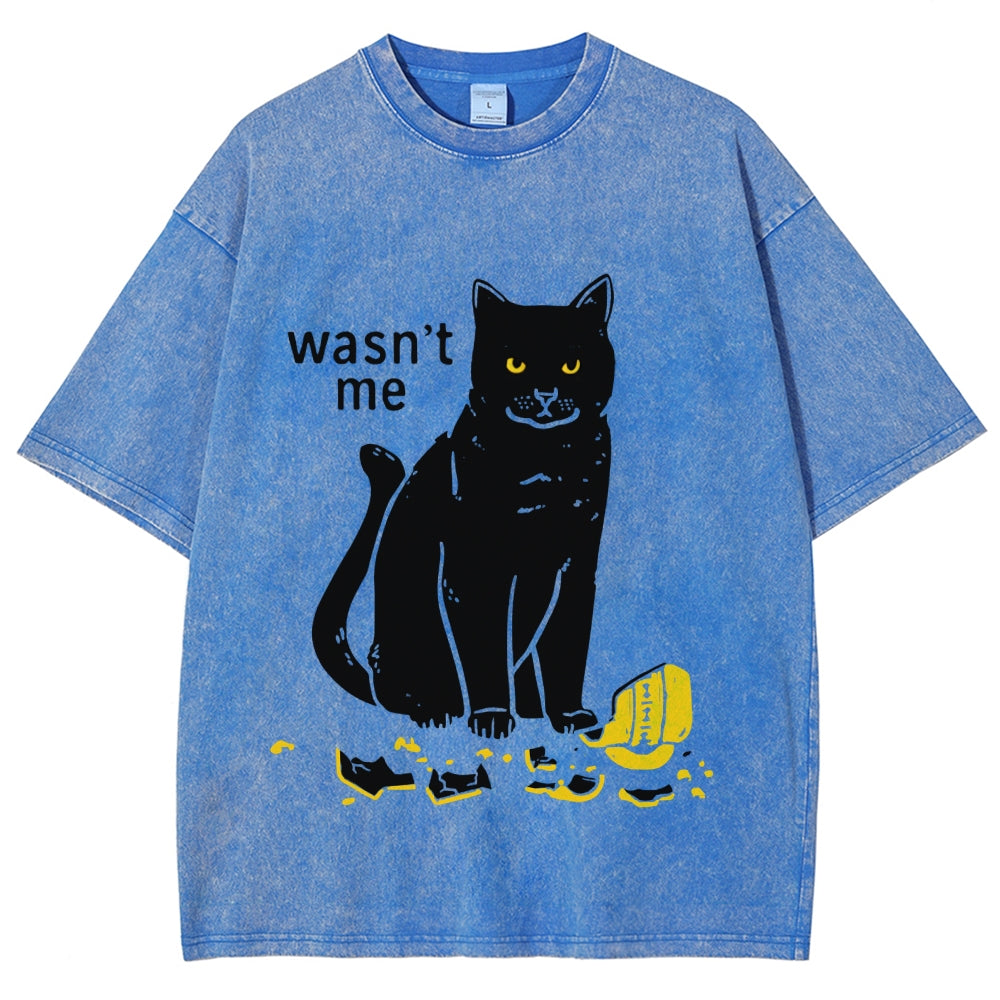 Wasn't Me Washed T-Shirt