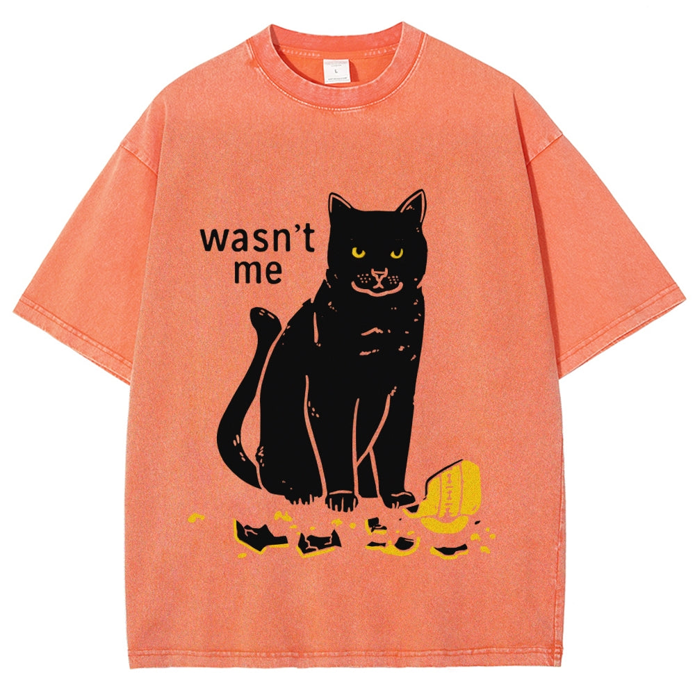 Wasn't Me Washed T-Shirt