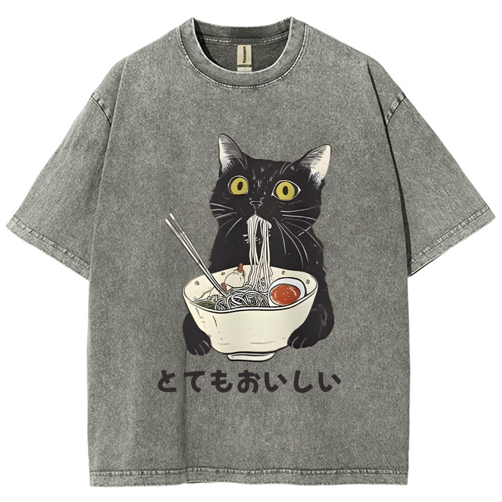 Cats Eat Ramen Noodles Washed T-Shirt