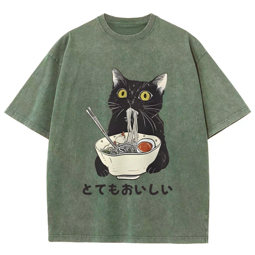 Cats Eat Ramen Noodles Washed T-Shirt