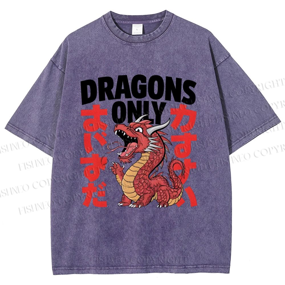 Unisex Dragons Printed Washed Tee