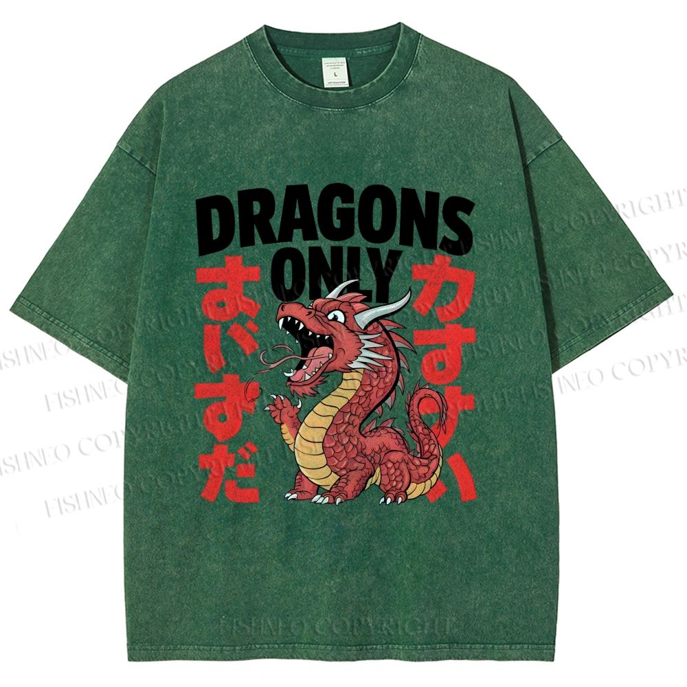 Unisex Dragons Printed Washed Tee