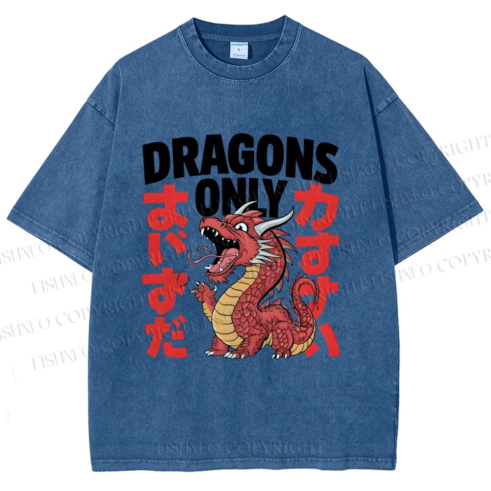 Unisex Dragons Printed Washed Tee