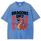 Unisex Dragons Printed Washed Tee