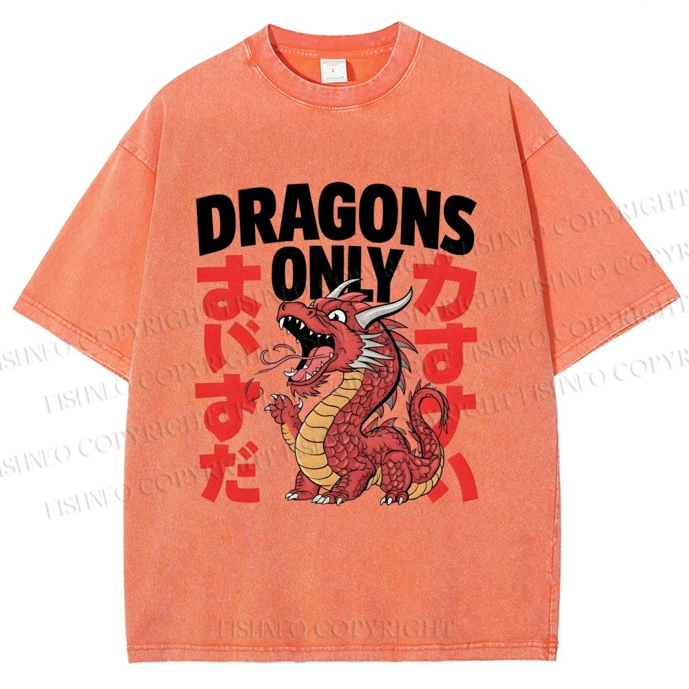 Unisex Dragons Printed Washed Tee