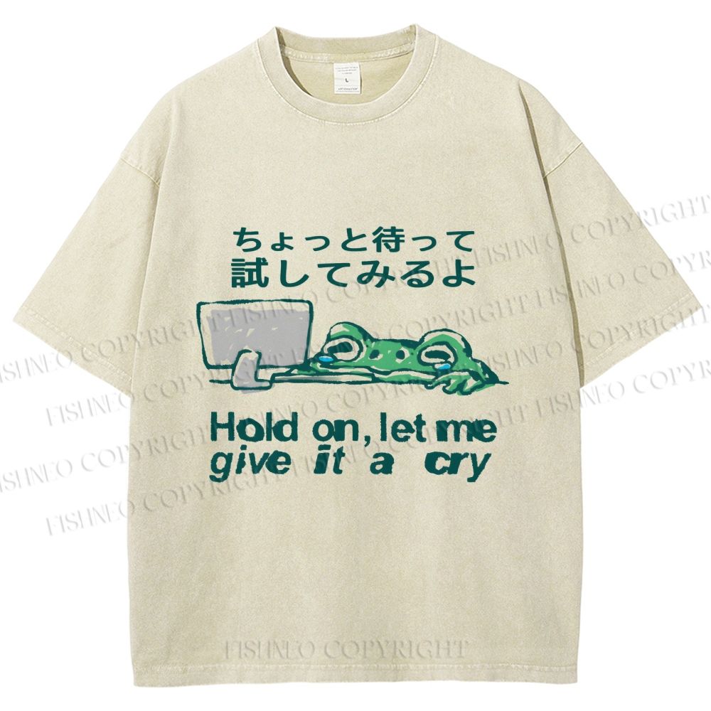 Unisex Silly Frog Hold On Let Me Give It A Cry Printed Washed Tee