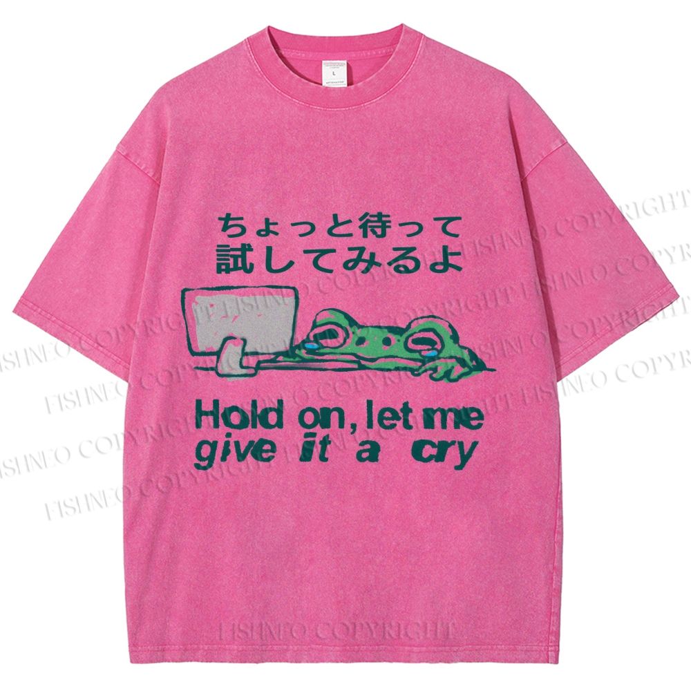 Unisex Silly Frog Hold On Let Me Give It A Cry Printed Washed Tee