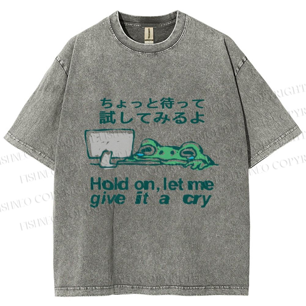 Unisex Silly Frog Hold On Let Me Give It A Cry Printed Washed Tee
