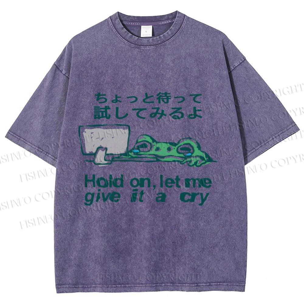 Unisex Silly Frog Hold On Let Me Give It A Cry Printed Washed Tee