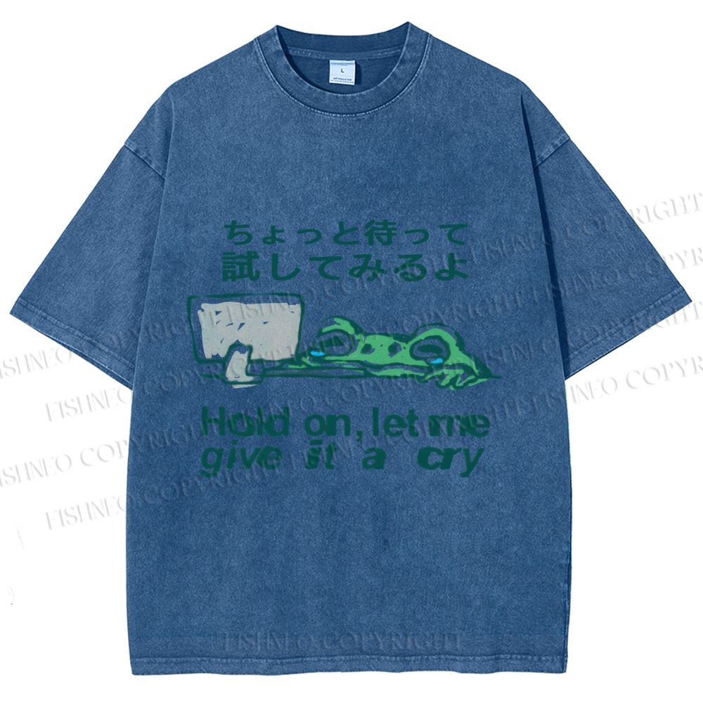 Unisex Silly Frog Hold On Let Me Give It A Cry Printed Washed Tee