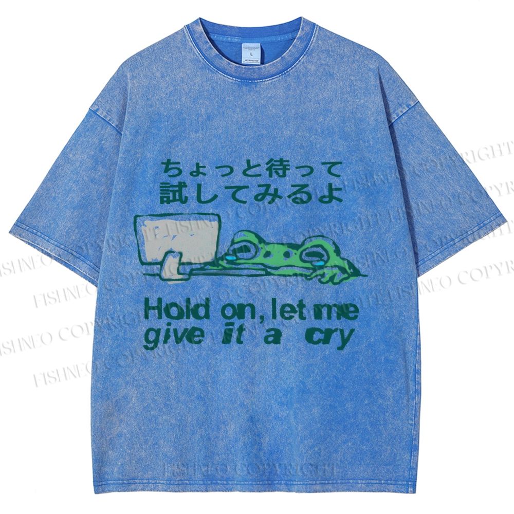 Unisex Silly Frog Hold On Let Me Give It A Cry Printed Washed Tee