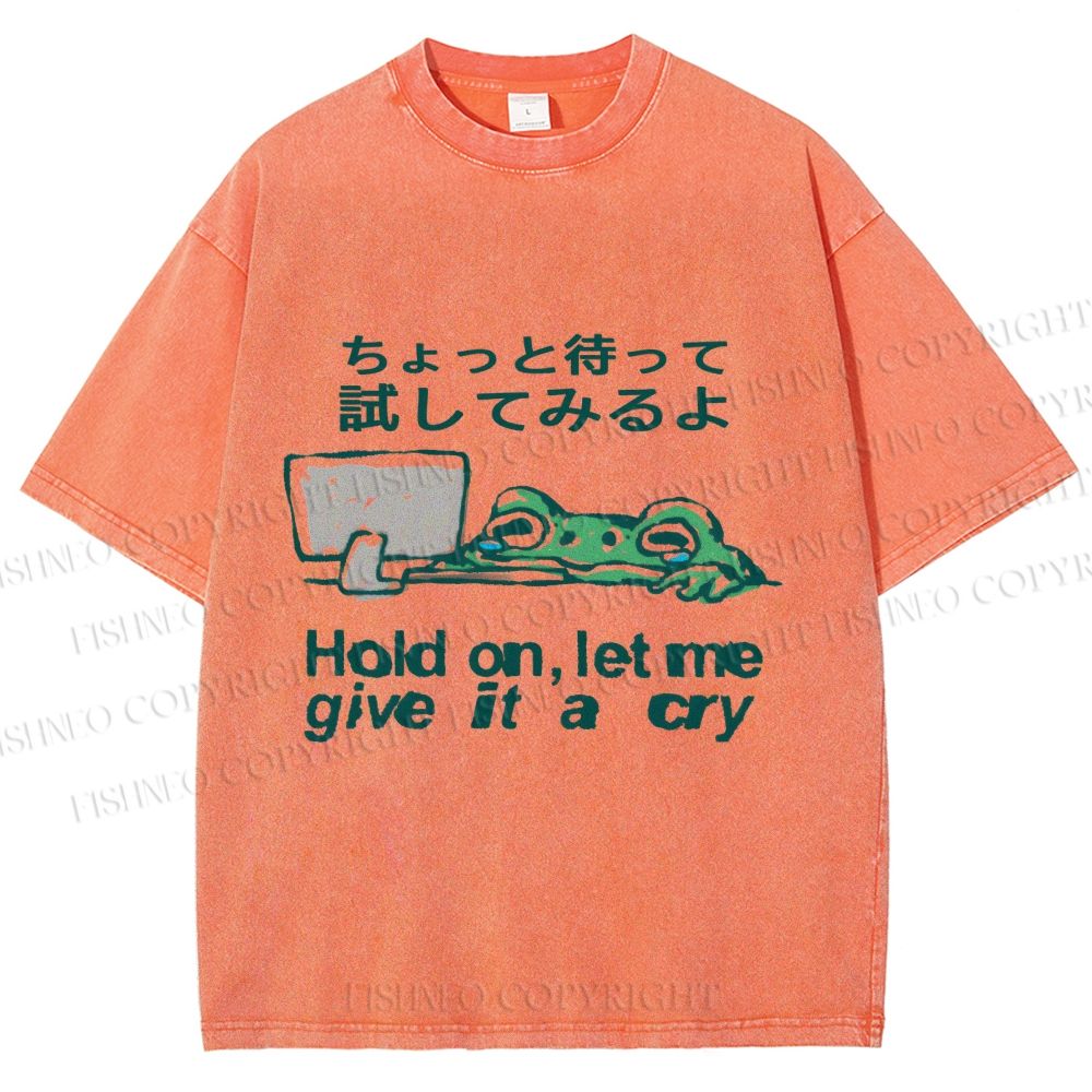 Unisex Silly Frog Hold On Let Me Give It A Cry Printed Washed Tee