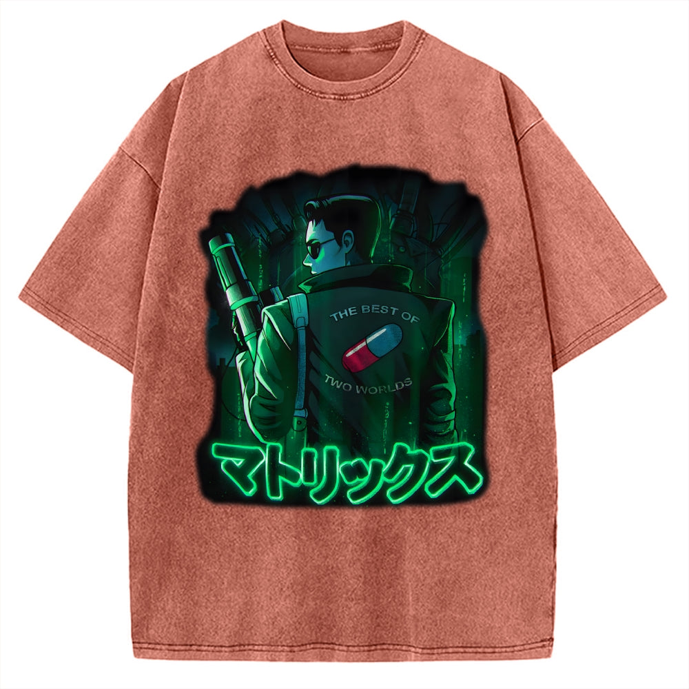 The Best of Two Worlds Vintage Washed T-shirt