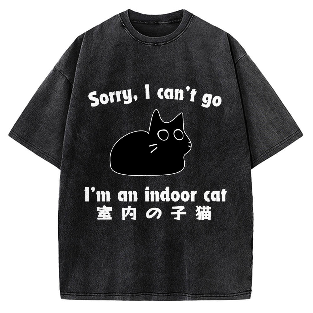Indoor Kitten Vintage Washed T-shirt