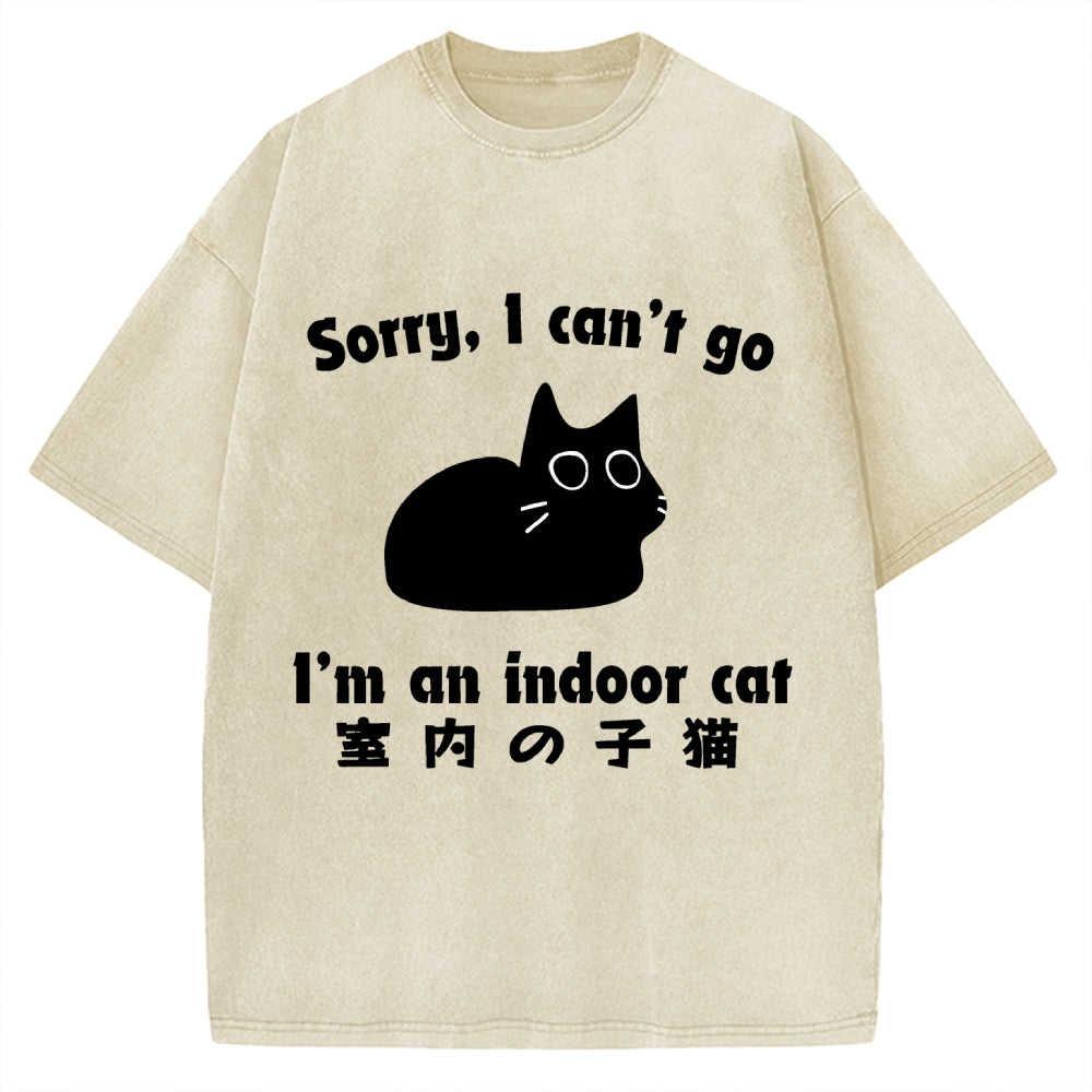 Indoor Kitten Vintage Washed T-shirt