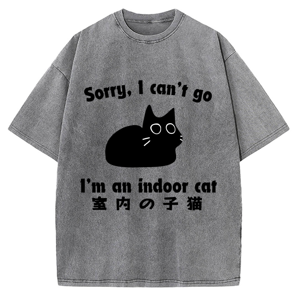 Indoor Kitten Vintage Washed T-shirt