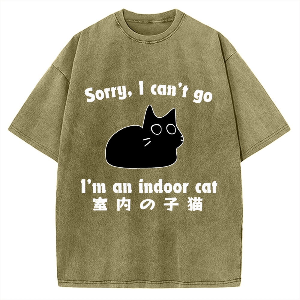 Indoor Kitten Vintage Washed T-shirt