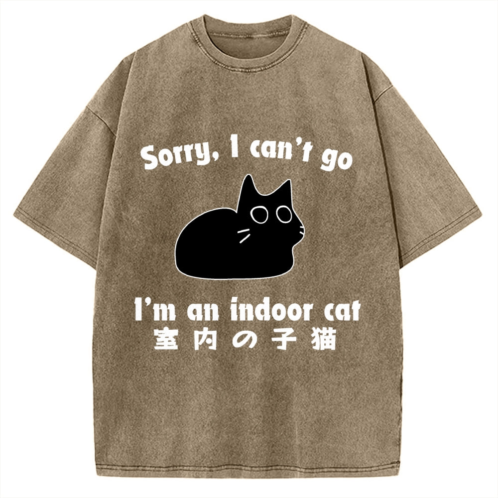 Indoor Kitten Vintage Washed T-shirt