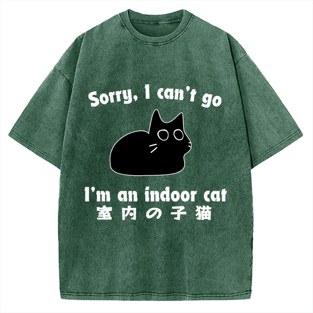 Indoor Kitten Vintage Washed T-shirt