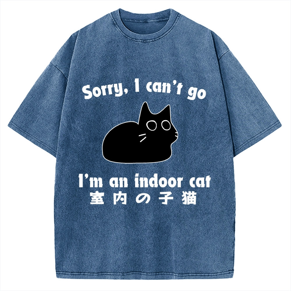 Indoor Kitten Vintage Washed T-shirt