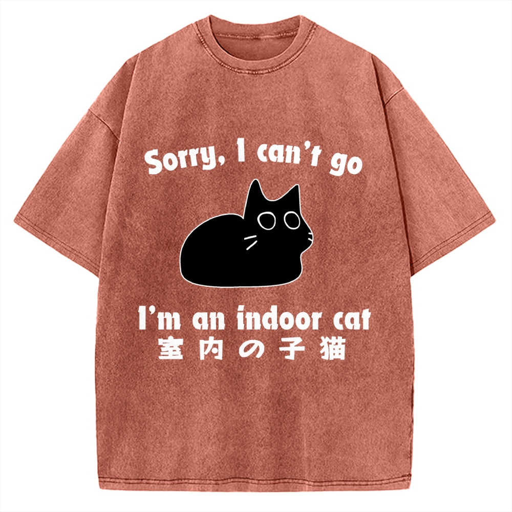 Indoor Kitten Vintage Washed T-shirt